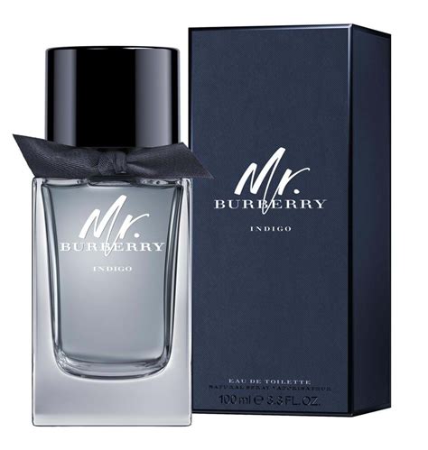 mr burberry eau de toilette price|mr Burberry indigo fragrantica.